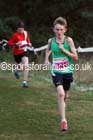 Boys under-13s, 2016 National Cross Country Relays, Berry Hill Park, Mansfield. Photo: David T. Hewitson/Sports for All Pics